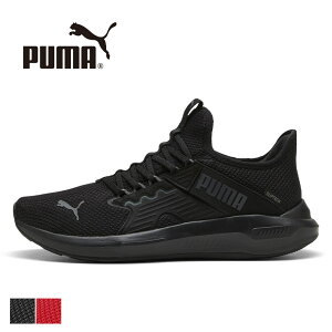 �v�[�} puma �C�[�Y�C�� �\�t�g���C�h �X�j�[�J�[ ���� ���f�B�[�X �����Y �����j���O�V���[�Y �C �G���] enzo 5 ������� �n���Y�t���[ �X���b�|�� �� ease in softride 312581 ����g�킸�ɗ����� ��