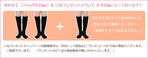もう1足