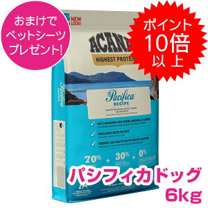 y25P13{ȏő100PobNzN[|tvGg[ AJi pVtBJhbO 6kg hbOt[h yKiz