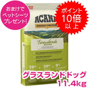 y20P13{ȏő100PobNzN[|tvGg[ AJi OXhhbO 11D4kg hbOt[h yKiz