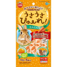 うさうさぴゅーれ にんじん 10g×5本入マルカン MG MARUKAN うさぎ おやつ ピューレ 液状 半液体状 ニンジン 人参