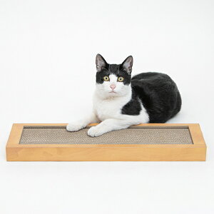 HappyDays S~oɂ߂ƂVO ybgv nbs[fCY L lR _{[ ܂Ƃ ߂Ƃ ܖ ߂݂