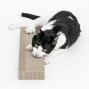 HappyDays S~oɂ߂Ƃւ ybgv nbs[fCY L lR _{[ ܂Ƃ ߂Ƃ ܖ ւ