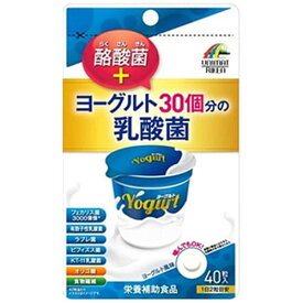 ヨーグルト30個分の乳酸菌＋酪酸菌 40粒入
