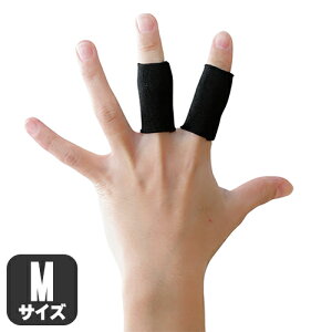 D&M wT|[^[ 2 ubNw֐ ی wT| 2 Y fB[X e[sO ^Cv