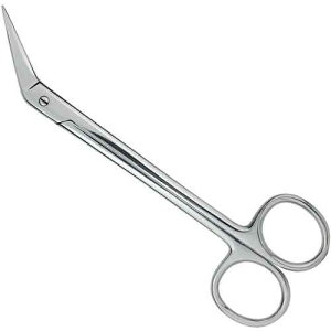 X}[gJbg Onhܐ؂ ͂݃^Cvp d  y 