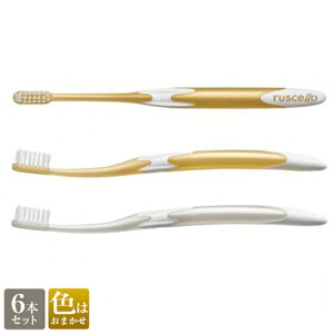 VF uV W-10 × 6{Ȑꔄ VF uV GC uV uV W[V[ VF zCgjO z[zCgjO GC ruscello[COoNG]