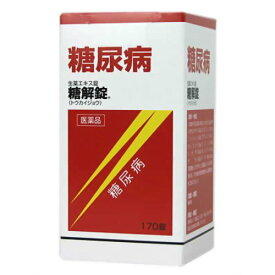 【第2類医薬品】糖解錠R 170錠糖尿病薬 糖解錠