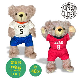 楽天市場 部活 引退 プレゼント バレー ぬいぐるみ ぬいぐるみ 人形 おもちゃの通販