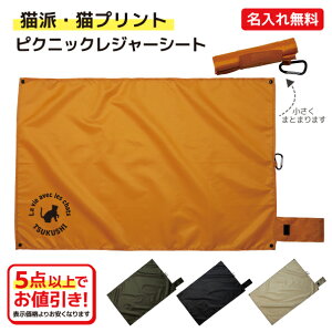 yLhEIׂCXgzꂪł sNjbNW[V[g@60cm × 90cm@֗ȃJrit@H@ AEghA@Lv@Cxg@tFX@@v[g@LOiy