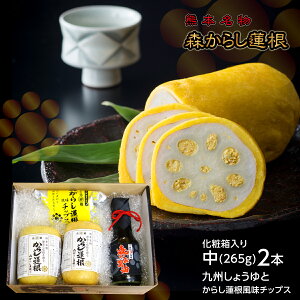 Ε N Mtg  l X炵@ IWiZbg 炵@ 炵R 炵񂱂 hq@ F{  y \Et[h