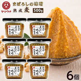 【早い者勝ち！最大2,000円OFFクーポン配布中】 母の日 まぼろしの味噌 無添加 熟成麦 麦味噌 麦みそ 500g×6個 山内本店 送料無料 熊本 お取り寄せ ギフト 調味料