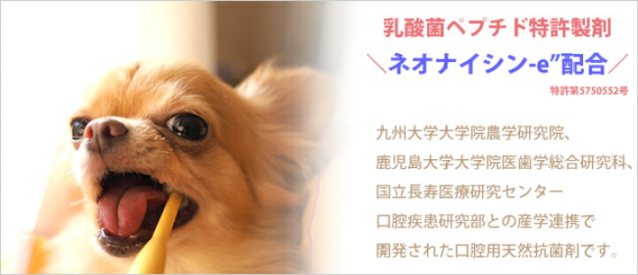 楽天市場 オーラルピース マウススプレー ウォッシュ ペット 犬 猫用 液体ハミガキ オーガニック 歯周病 口臭にネオナイシン Eが強力にアプローチ Oralpeace ロアジス ナチュラル Pet Life