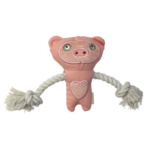 i`[vgC Vv[t@Ch ysNԂz I[KjbNfނōꂽybgpʂ I[KjbN ybgt[hybgObY Loasis(AWX) i`Rbg 