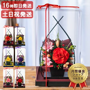 vU[uht[ Ê j  j Pj җj  Ď Ύ j  a v[g   c ΂  70 80 LO e  ސEj j u