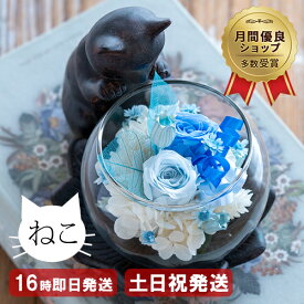 ＼10％OFFクーポン／ プリザーブドフラワー 退職祝い 猫グッズ プレゼント 女性 猫好き 置物 リビング 花 還暦祝い ブリザードフラワ- 誕生日 お祝い 古希 喜寿 米寿 傘寿 卒寿 お祝い 60代 70代 80代 お花 母 祖母 おばあちゃん 母の日 桜 ケース 送料無料 猫が好き