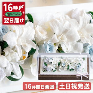 |Cg5{ vU[uht[ Ǌ| t[ h[   o ͂Ȃ  av[g   c P j Êj j  sN a  70 80 ސE