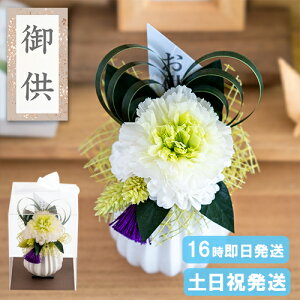 y|Cg5{N[|z   vU[uht[  Ԋt 䋟AW dp   ̉ 蕨 ~ ~ ފ  @   49 l\ @v 