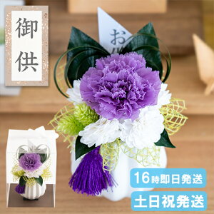 yjc   vU[uht[  Ԋt 䋟AW dp   ̉ 蕨 ~ ~ ފ  @   49 l\ @v   O 