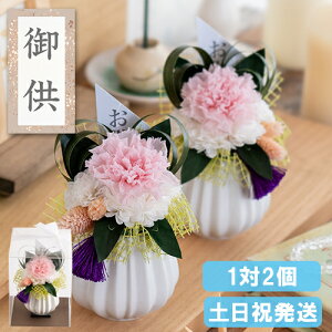 y|Cg5{N[|z  vU[uht[ Ԋt  AWg dp ͂Ȃ   ̉ 蕨 49 l\ @v    O ~ ~ 