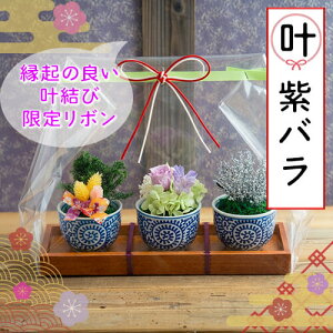 |Cg10{ vU[uht[ ͂Ȃ ~j~ ۋ ϗtA  Mtg  a v[g  j   c c җj Ύ Ê   P Ď j 60 70 8