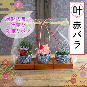 vU[uht[ ͂Ȃ ~j~ ۋ ϗtA  Mtg  a v[g  j   c c җj Ύ Ê   P Ď j 60 70 80 Vzj 