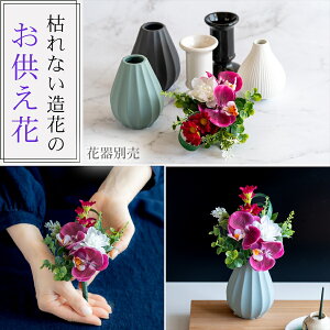 |Cg5{   dp A[gt[ AW d    蕨 ~ ~ ފ   Mtg l\@v  ̐l  IׂԊ  