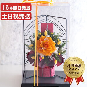 傫 vU[uht[ AWg  Mtg a v[g    ސEj җj Ê  Ď P  j 60 70 80 ͂Ȃ o uU[ht