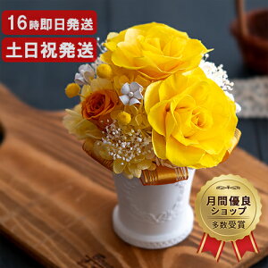 vU[uht[ Iׂ5F o ͂Ȃ  a v[g   c j Fl LO  Ê  Ď j v[g a  uU[ht[ Mt