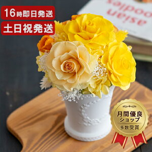 vU[uht[ փo ͂Ȃ  AWg a v[g   c ` uU[ht[ Mtg LO  Ê  Ď j 60 70 80 a 