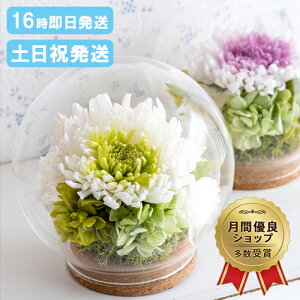 |Cg5{  vU[uht[  KXh[ Ԋt 䋟AW dp   蕨 ~ ~ ފ  @   O   l\