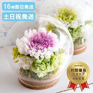 vU[uht[  KXh[ Ԋt 䋟AW dp   蕨 ~ ~ ފ  @   O   l\ @v 