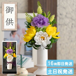 ފ  vU[uht[ \[vt[ ԁEԊt 䋟AWg dp   ~ ~ ފ   蕨  a  O  