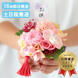 y10N[|`9/5 23:59z  vU[uht[ Ԋt AW dp  vU[uh d   ̉ ~ ~ ފ  l\@v   