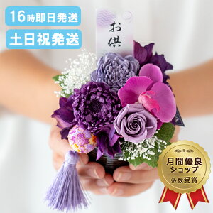  vU[uht[ Ԋt AW dp  vU[uh d   ̉ ~ ~ ފ  l\@v   O  uU[h