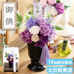 hV̓N[|  vU[uht[ Ԋt AW dp  vU[uh d   ̉ 蕨 ~ ~ ފ  Mtg l\@v   