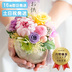 |Cg5{  vU[uht[ Ԋt AW dp  vU[uh d    蕨 ~ ~ ފ   Mtg l\@v  