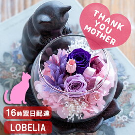 最短発送 母の日 プリザーブドフラワー ねこ 猫グッズ プレゼント 女性 猫好き 置物 リビング 花 還暦祝い ブリザードフラワ- 誕生日 お祝い 古希 喜寿 米寿 傘寿 卒寿 お祝い 60代 70代 80代 お花 母 祖母 おばあちゃん 退職祝い 和 長持ち ケース入り 猫が好き
