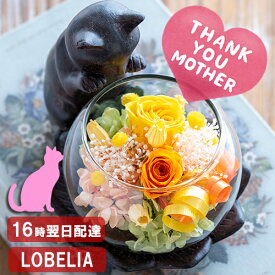 母の日 早割 プリザーブドフラワー 母の日 ねこ 猫グッズ プレゼント 女性 猫好き 置物 リビング 花 還暦祝い ブリザードフラワ- 誕生日 お祝い 古希 喜寿 米寿 傘寿 卒寿 お祝い 60代 70代 80代 お花 母 祖母 おばあちゃん 退職祝 和 長持ち ケース入り 送料無料 猫が好き