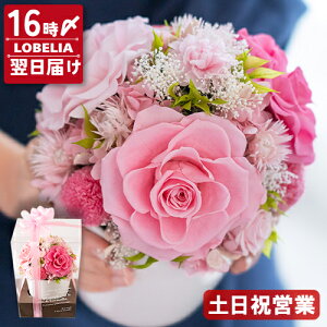 傫 710 o vU[uht[ AWg  a v[g   c  ސEj j LO vU[ht[  JXj  NX}X u