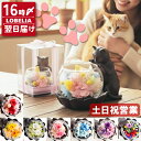 プリザーブドフラワー 猫グッズ プレゼント 女性 猫好き 置物 リビング 花 還暦祝い ブリザードフラワ- 誕生日 お祝い 古希 喜寿 米寿 傘寿 卒寿 お祝い 60代 70代 80代 お花 退職祝い 母 祖母 おばあちゃん ケース 送料無料 猫が好き