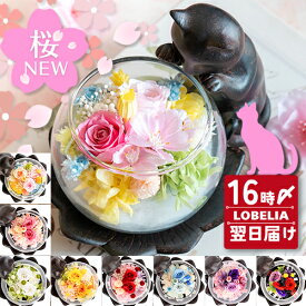 プリザーブドフラワー 猫グッズ プレゼント 女性 猫好き 置物 リビング 花 還暦祝い ブリザードフラワ- 誕生日 お祝い 古希 喜寿 米寿 傘寿 卒寿 お祝い 60代 70代 80代 お花 退職祝い 母 祖母 おばあちゃん ケース 送料無料 猫が好き