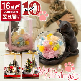 プリザーブドフラワー 猫グッズ プレゼント 女性 猫好き 置物 リビング 花 還暦祝い ブリザードフラワ- 誕生日 お祝い 古希 喜寿 米寿 傘寿 卒寿 お祝い 60代 70代 80代 お花 退職祝い クリスマス 母 祖母 おばあちゃん ケース 送料無料 猫が好き