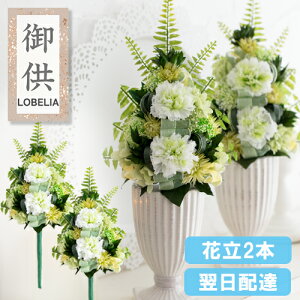 vU[uht[  16 cƓ vU[h  dp ~ ~ ފ   {    ̉ 蕨 䋟 a  @   Mtg 