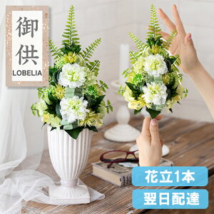 傫 vU[uht[  dp AWg      蕨 ~ ފ   @   l\ 49  O @v {