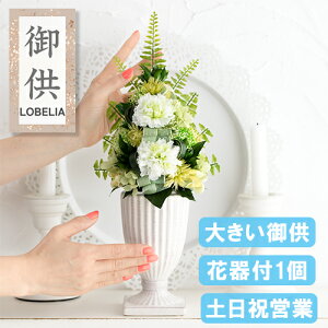 傫 vU[uht[  dp  Ԋt    蕨  ~ ~ ފ   l\ @v   @  䕧O O  