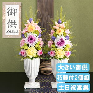  vU[uht[  dp Ԋt   蕨 @  ~ ~ ފ ̐l       O   Mtg uU