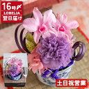 プリザーブドフラワー 和風 枯れない 花 お誕生日 プレゼント お花 女性 母 祖母 おばあちゃん ブリザードフラワー ギフト 還暦祝い 古希 喜寿 卒寿 紫 お祝い 退職祝い 60代 70歳 77歳 70代 送料無料 ケース入り えくぼ