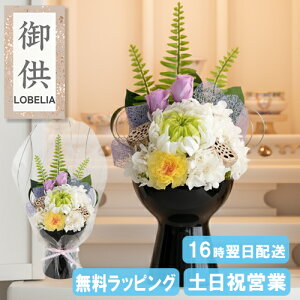   vU[uht[  dp Ԋt AW  蕨  d { uU[ht[ ~ ~ ފ  @  l\ @v  