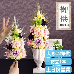 ԁE   vU[uht[  dp  @  ~ ~ ފ  蕨 d    O 蕨  Mtg uU[ht[ 